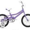 Fuji Rookie ST 16" Kids Bike - Violet 2021 -Fuji Sales Store 98mWgF5UApAxWsfhFxJXPwmSs 2