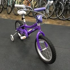 Fuji Rookie ST 16" Kids Bike - Violet 2021 -Fuji Sales Store 9tqTMH5aMxY4TsZ4NEgHihzfQ 1