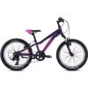 Fuji Dynamite 20 Purple 2021