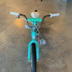 Fuji ROOKIE 20 green -Fuji Sales Store GNeVVn1PLMs9Ru R yA1Cg9wA