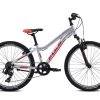 Fuji Dynamite 24 Sport 2021 -Fuji Sales Store IGA6OgvVSgPHk5 PWLNgDFViQ