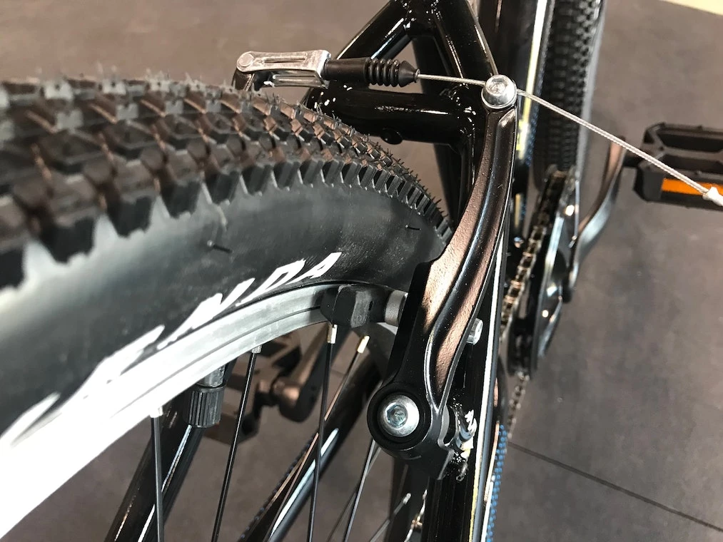 Fuji Dynamite 24 Sport 2021 13 Fuji Dynamite 24 Sport 2021 - Image 11