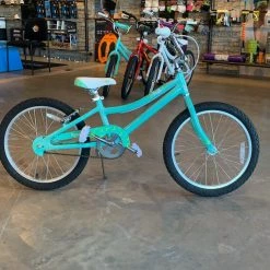 Fuji ROOKIE 20 green